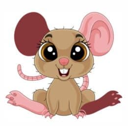 Bügelbild Coole Maus