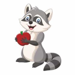Bügelbild Waschbär mit Apfel