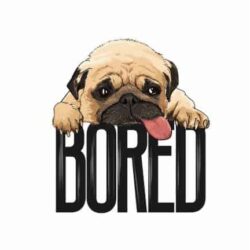 Bügelbild Bored Dog
