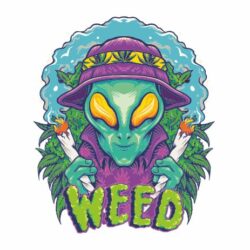 Bügelbilder Alien Smoking