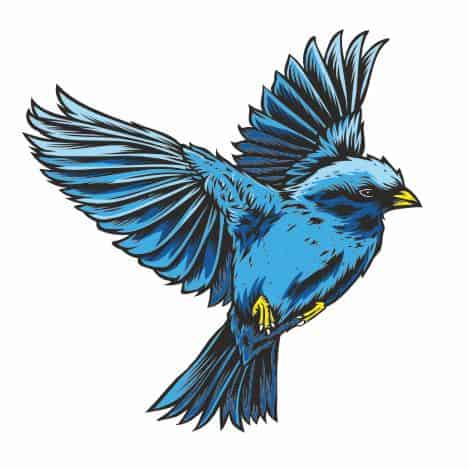 Bügelbilder Blauer Vogel