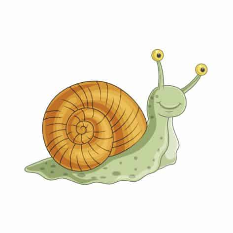 Bügelbilder Tiere Schnecke